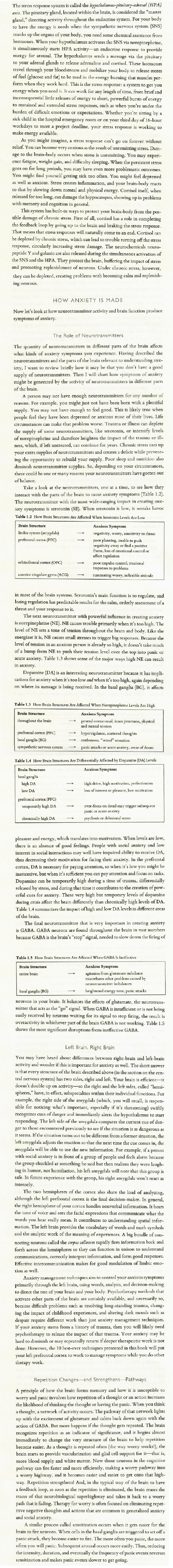 HA-Health-Anxiety-The-Stress-Response-System-22-29-Section-23.jpg